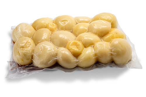 AdobeStock_520098406-50022