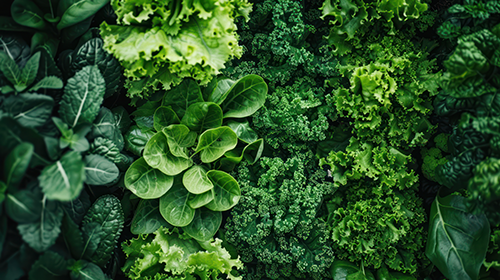 AdobeStock_520098406-500444